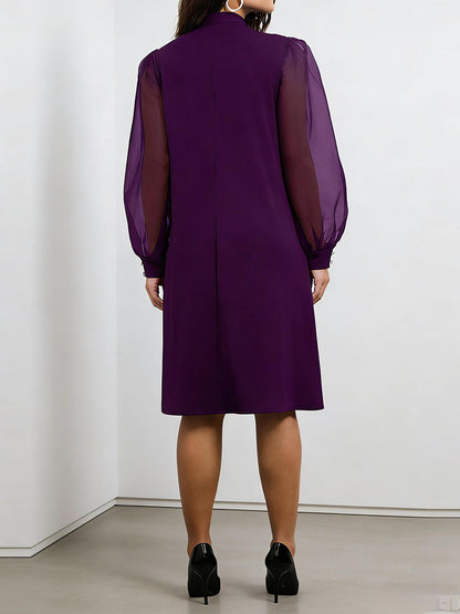 Elegance Mesh Sleeve Bow Dress