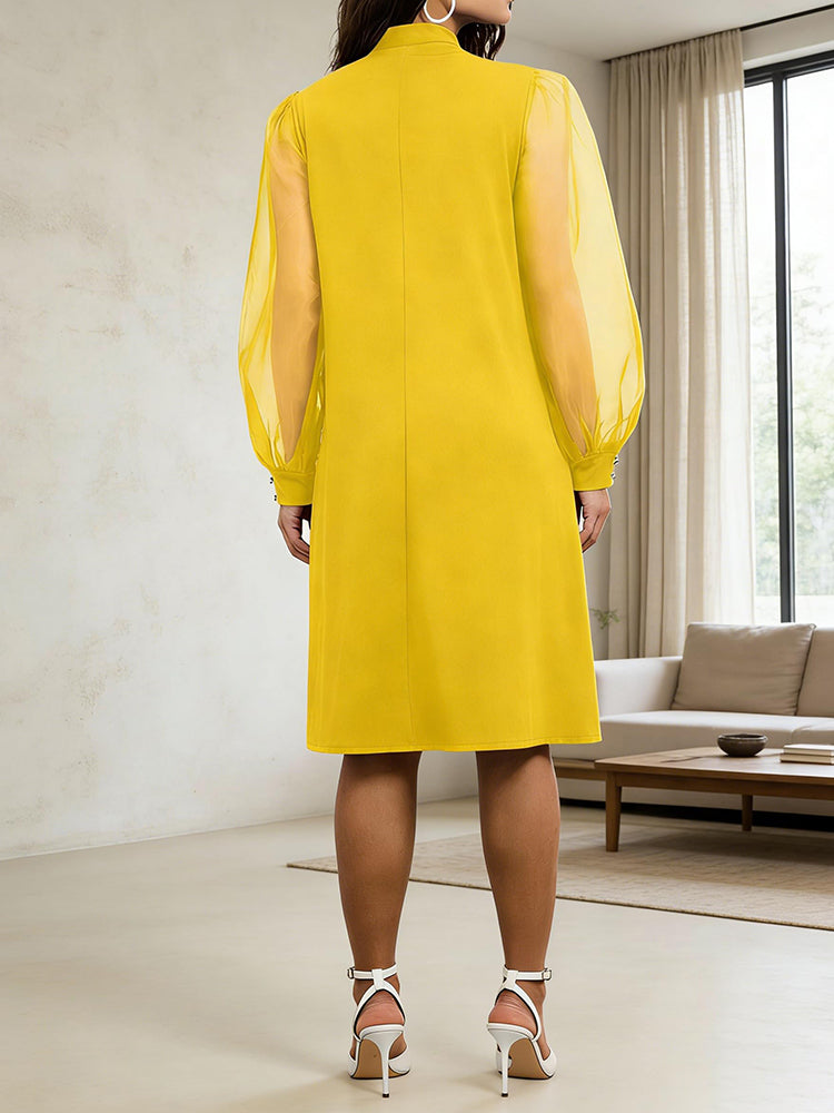 Elegance Mesh Sleeve Bow Dress